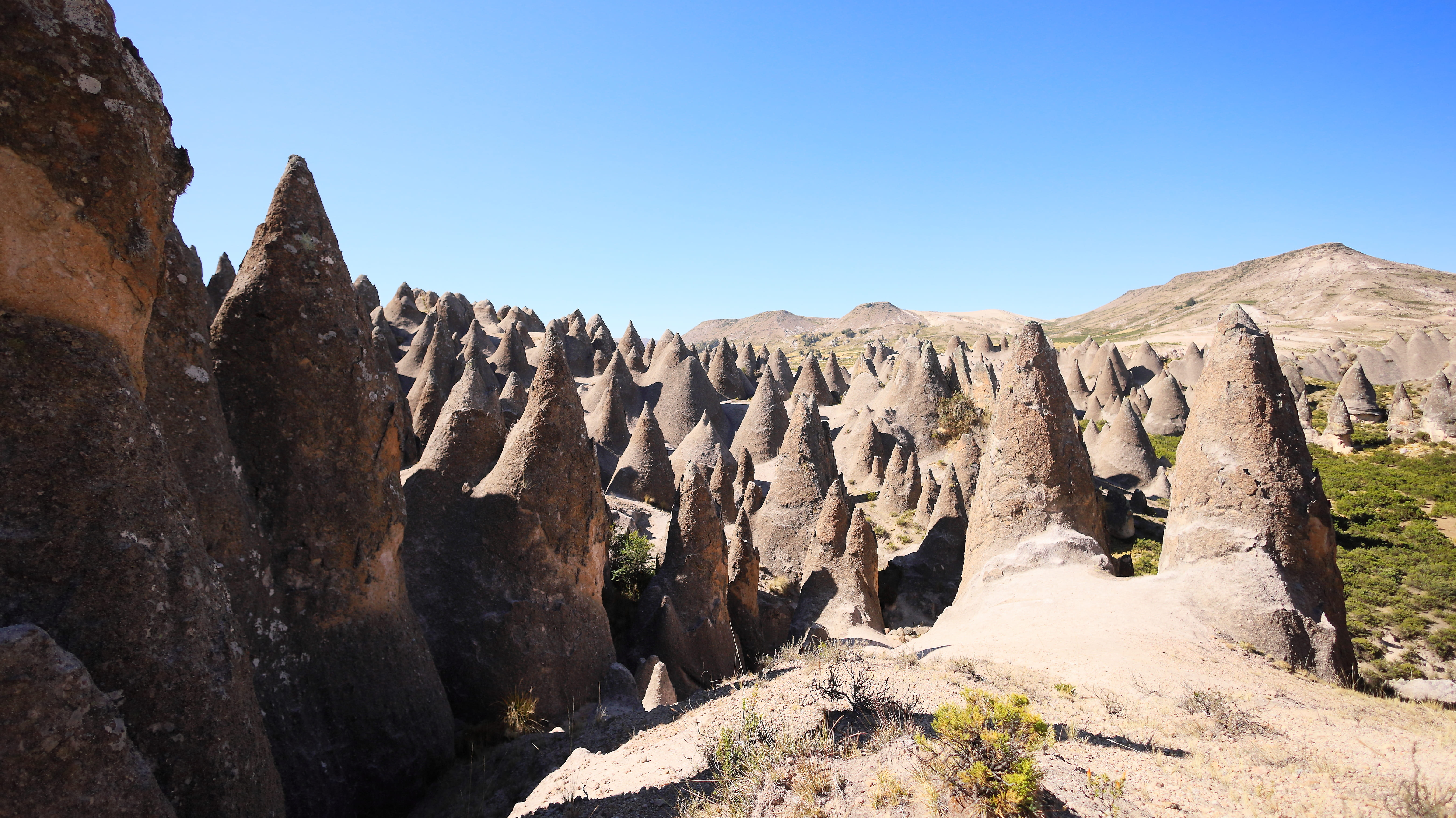 Bosque Larcay